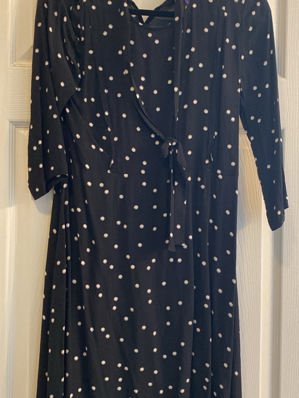 Seraphine Polka Dot Maternity/Nursing Dress